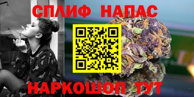 крисы Ливны