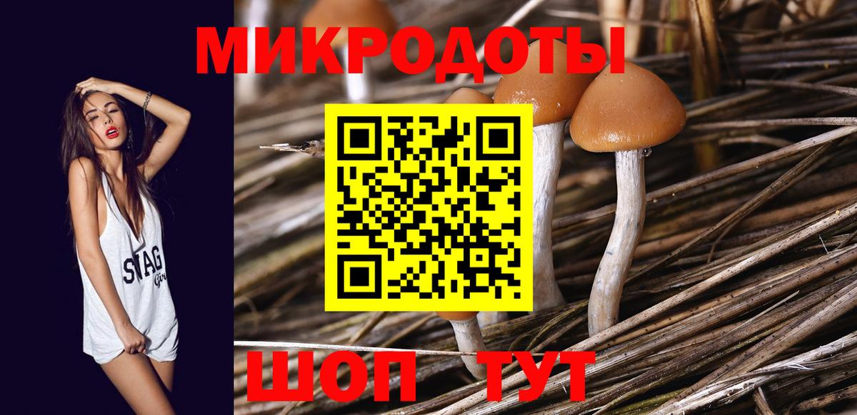 Псилоцибиновые грибы Magic Shrooms  Вход с VPN  сколько стоит  Шатура 