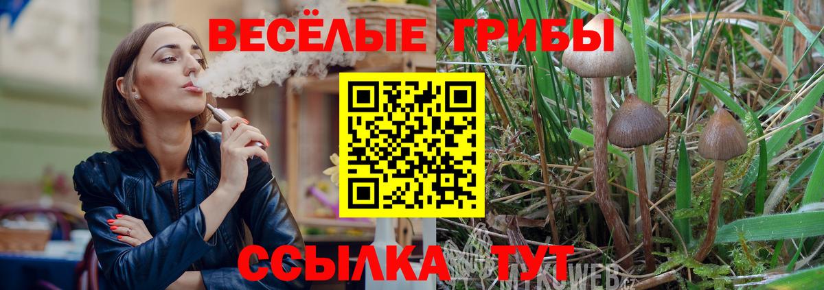 Псилоцибиновые грибы MAGIC MUSHROOMS Шатура